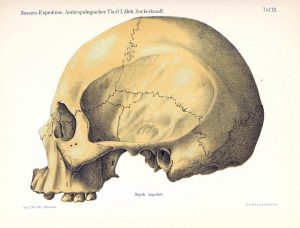 Disorders of the Cranial Nerves and Visual System